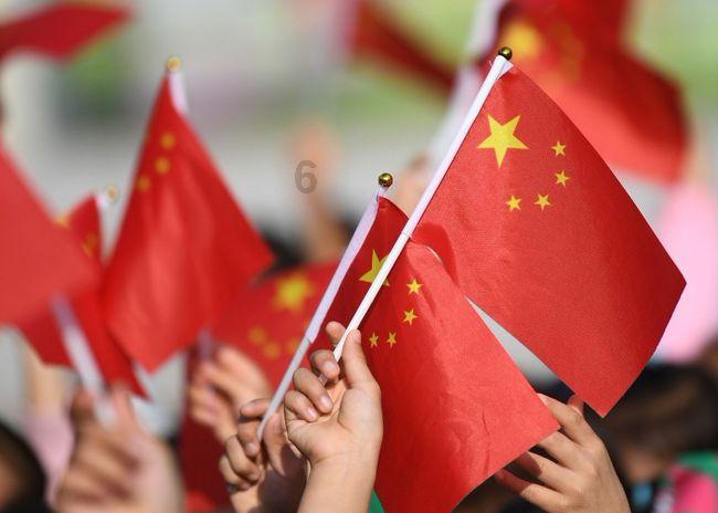 拯救机灵鸟